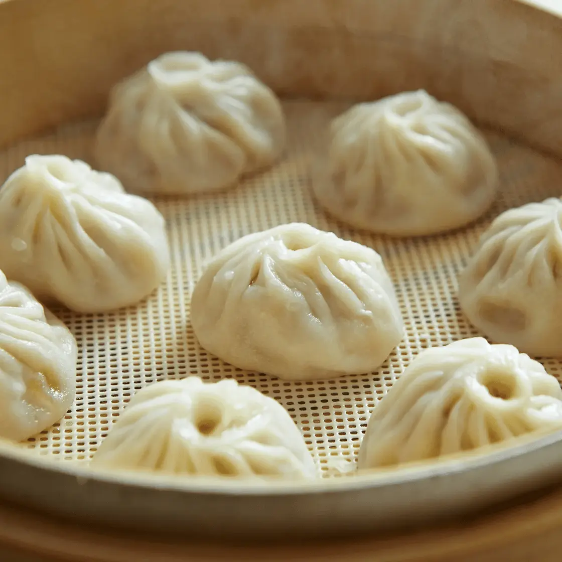 Chinese Xiaolongbao (Soup Dumplings) Recipe
