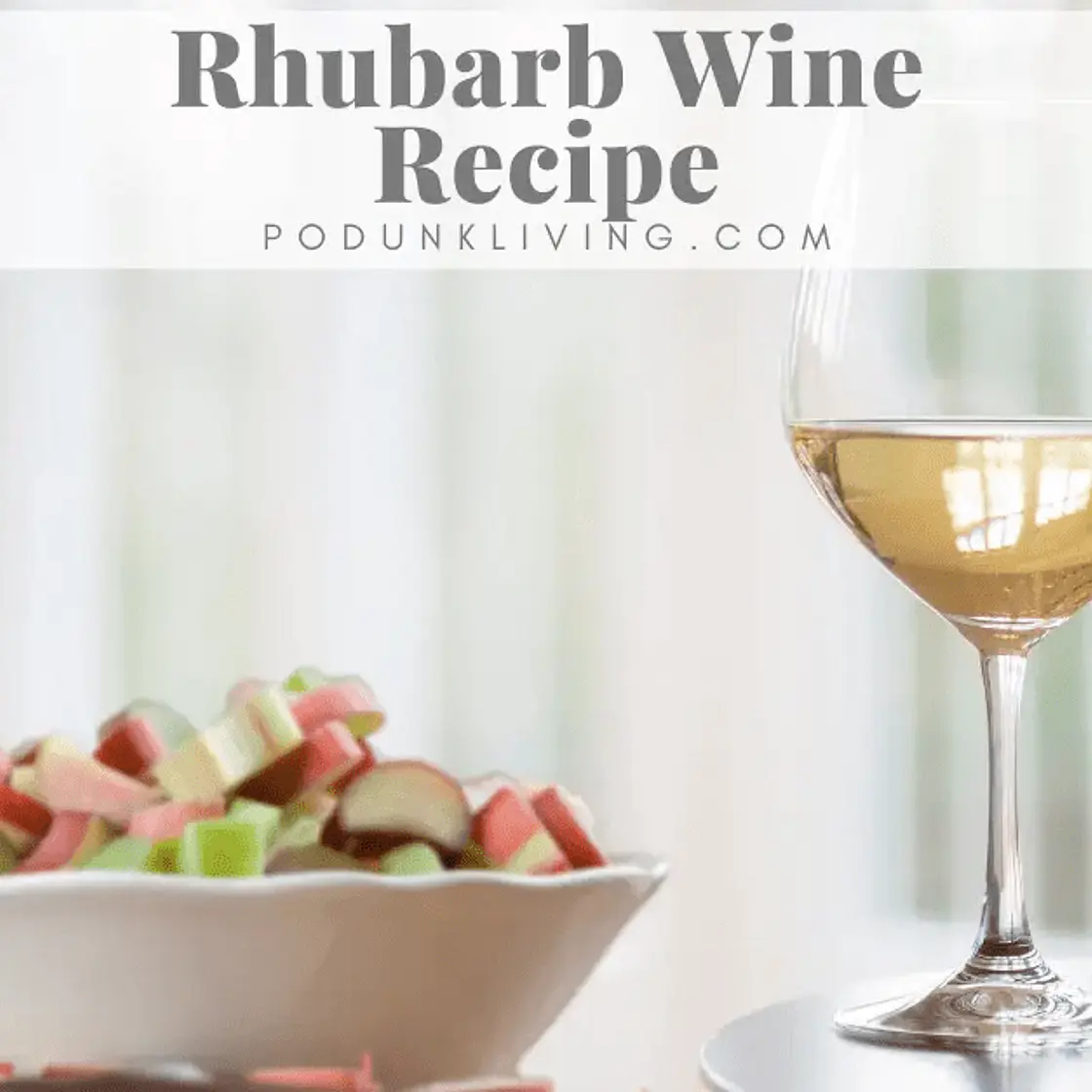 Homemade Rhubarb Wine Recipe