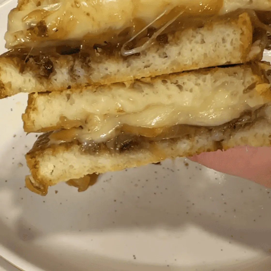 Caramelized Onion Grilled Cheese