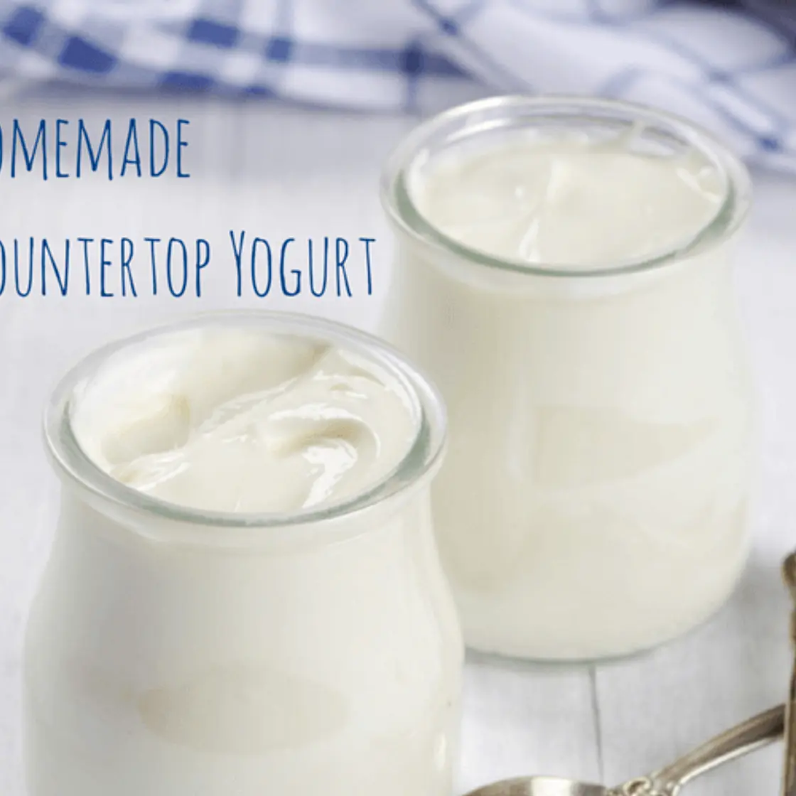Homemade Counter Top Yogurt