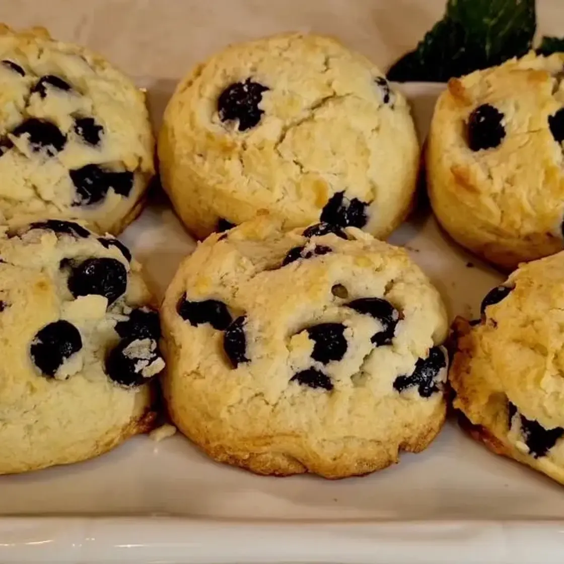 Yummy Blueberry Cookies Recipe That Everyone Will Love