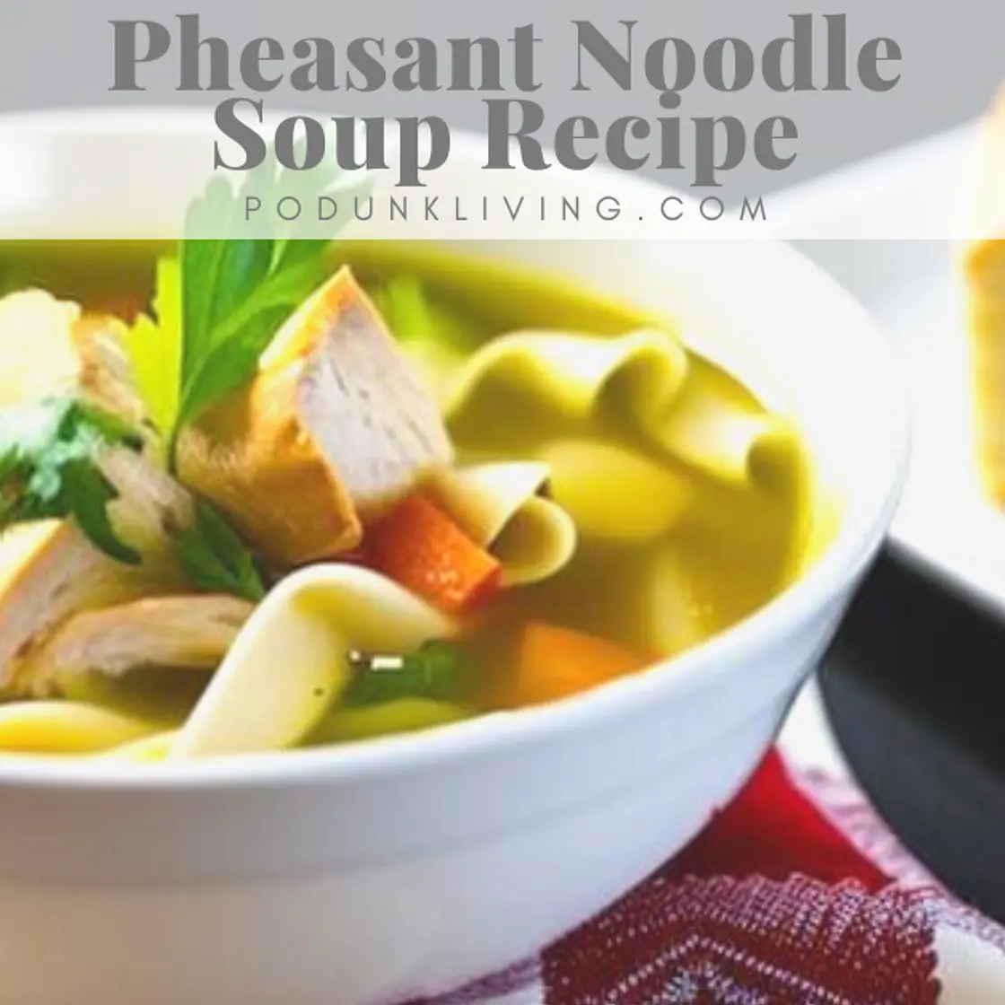 Pheasant Soup