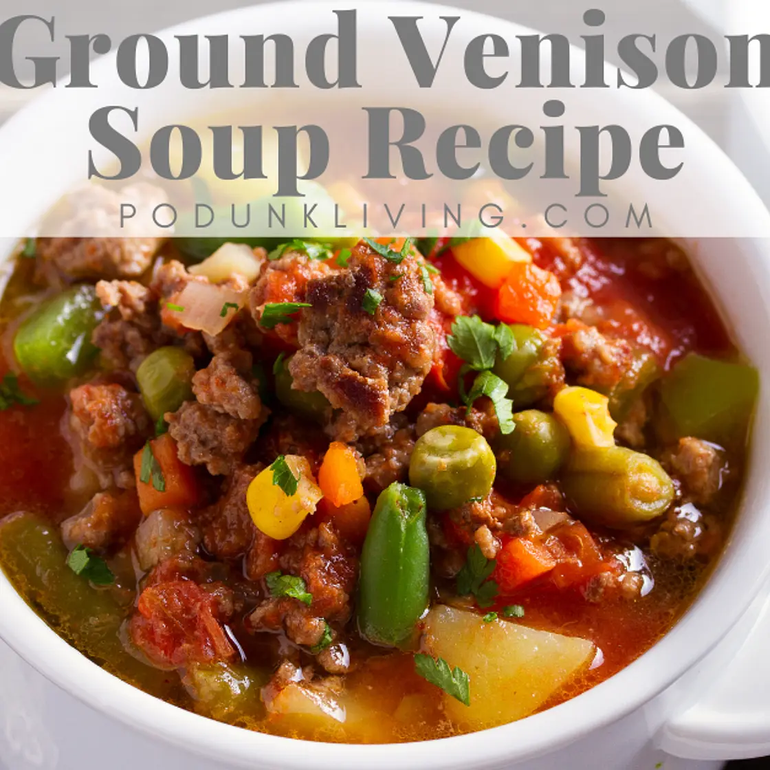 Ground Venison Soup