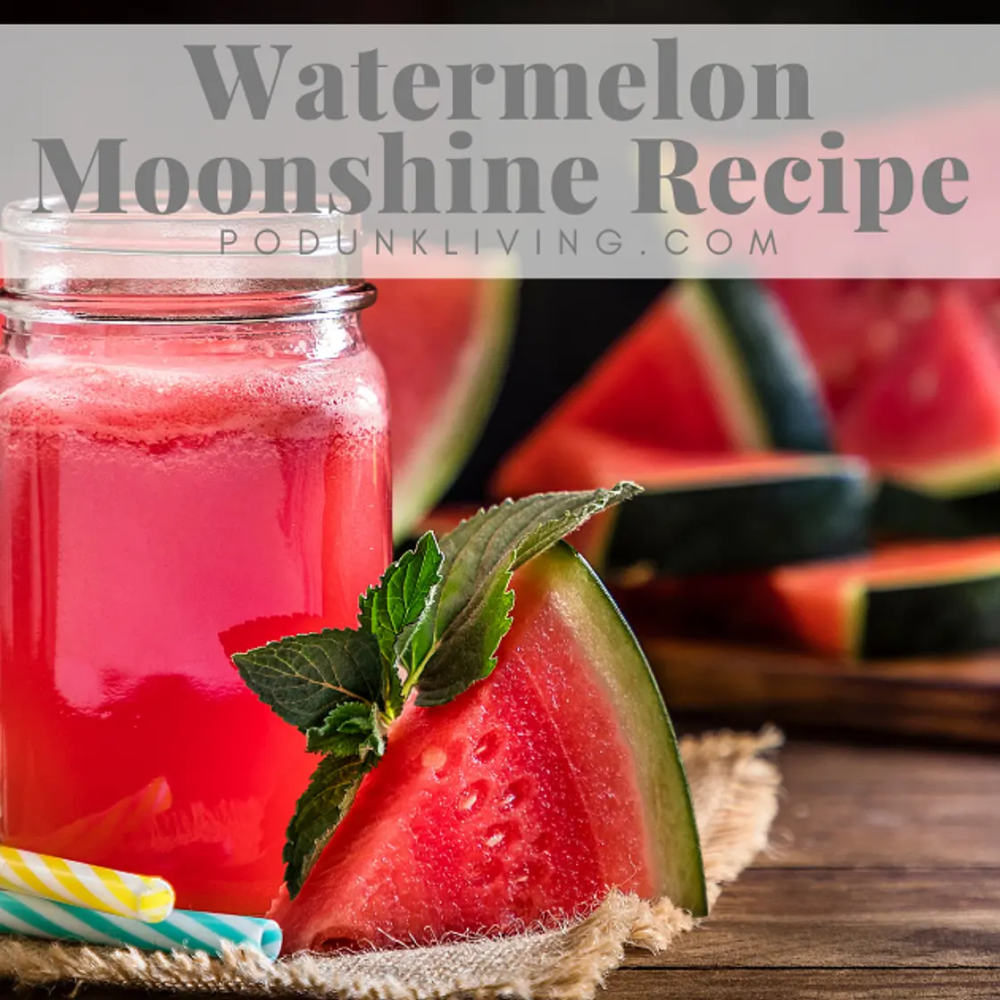 Best Watermelon Wine Recipe