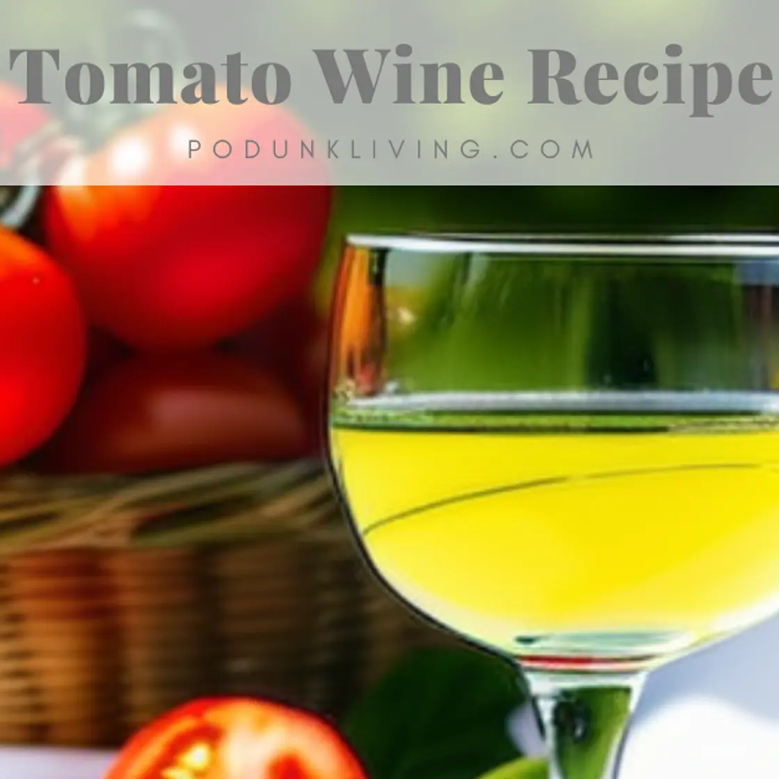 Best Tomato Wine Recipe