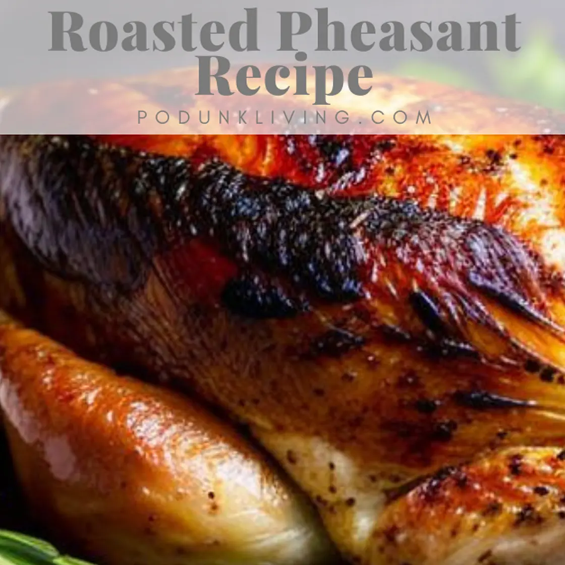 Roasted Pheasant