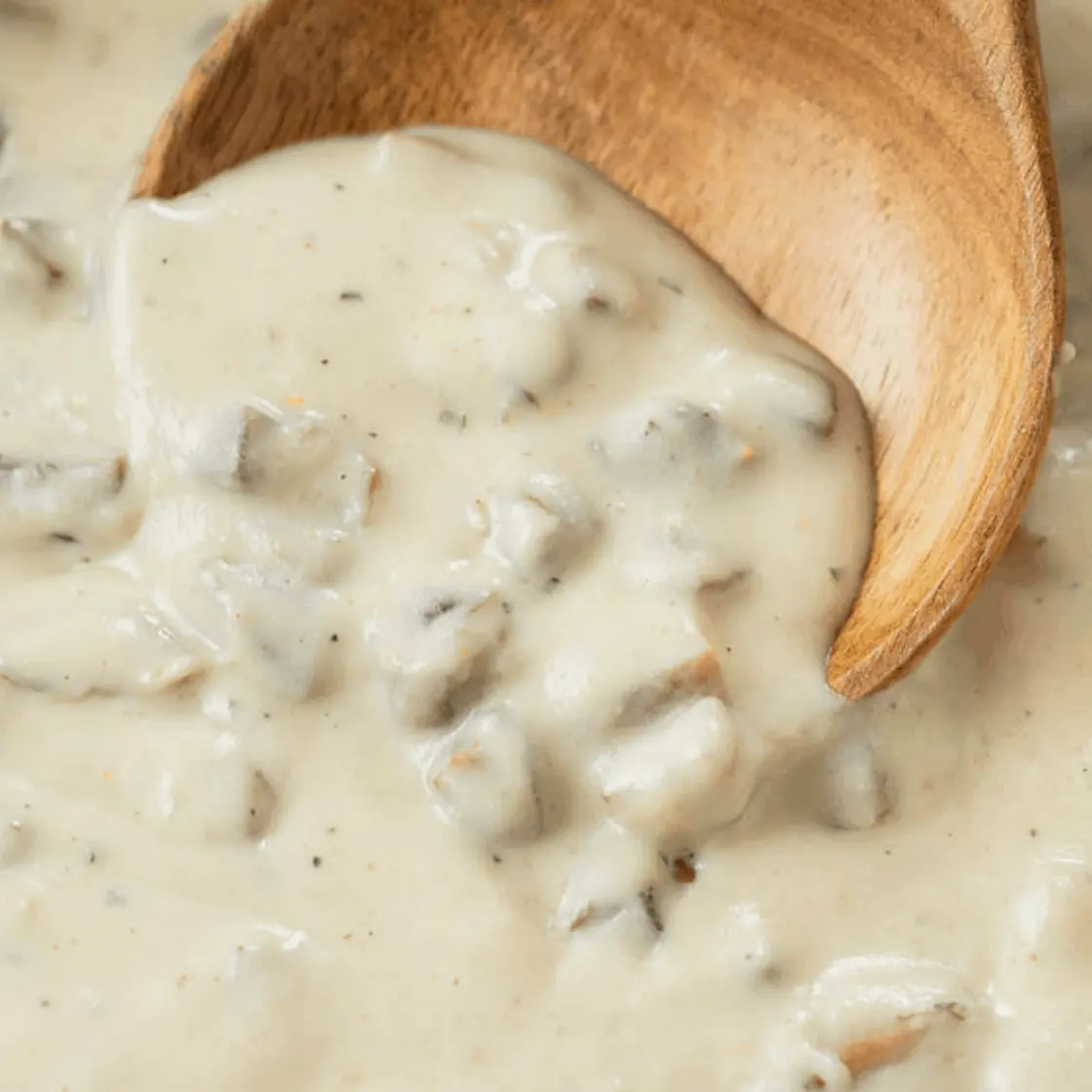 Condensed Cream of Mushroom Soup