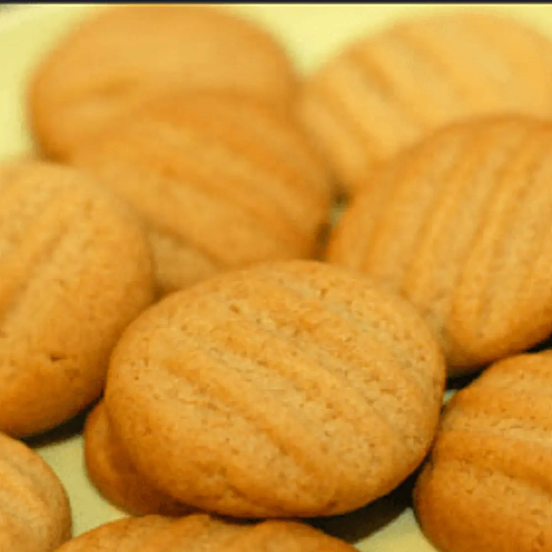 Dianna Coster's Malt Biscuits