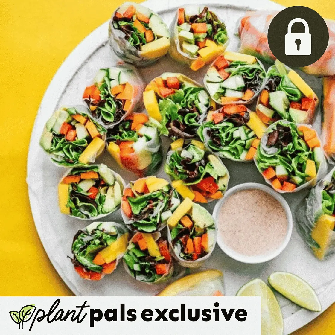 Vegetable Vietnamese Spring Rolls