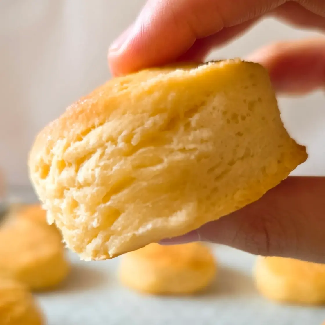 EASY 3 Ingredient Biscuit Recipe (Best Buttermilk Biscuits)