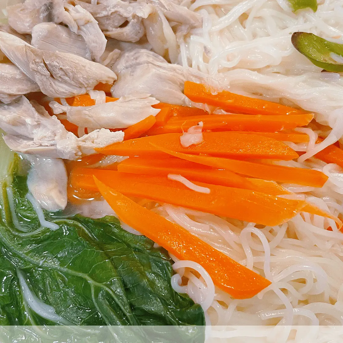 Chinese Chicken Noodle Soup with Baby Bok Choy – Instant Pot Recipe