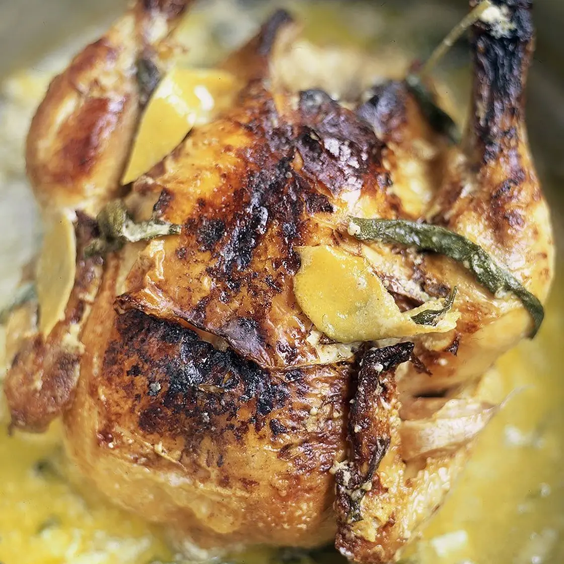 Chicken in milk