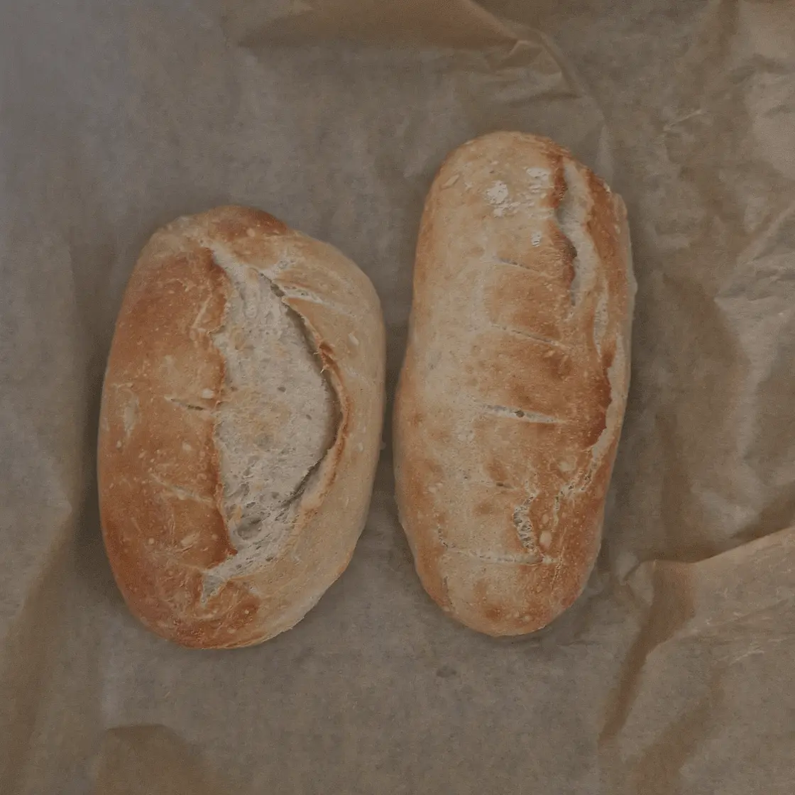 Easy French Baguettes (no special equipment required!)