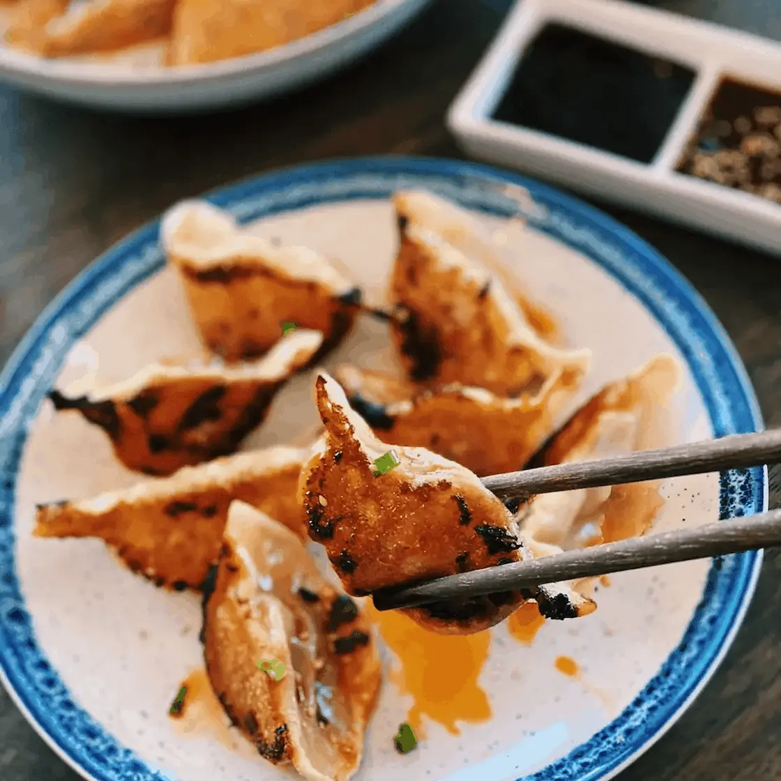 Chicken Dumplings