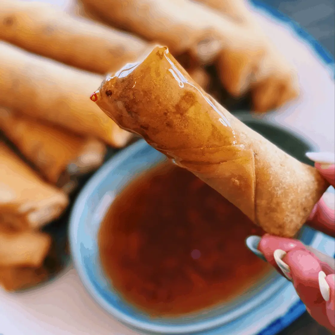 Vegetarian Spring Roll