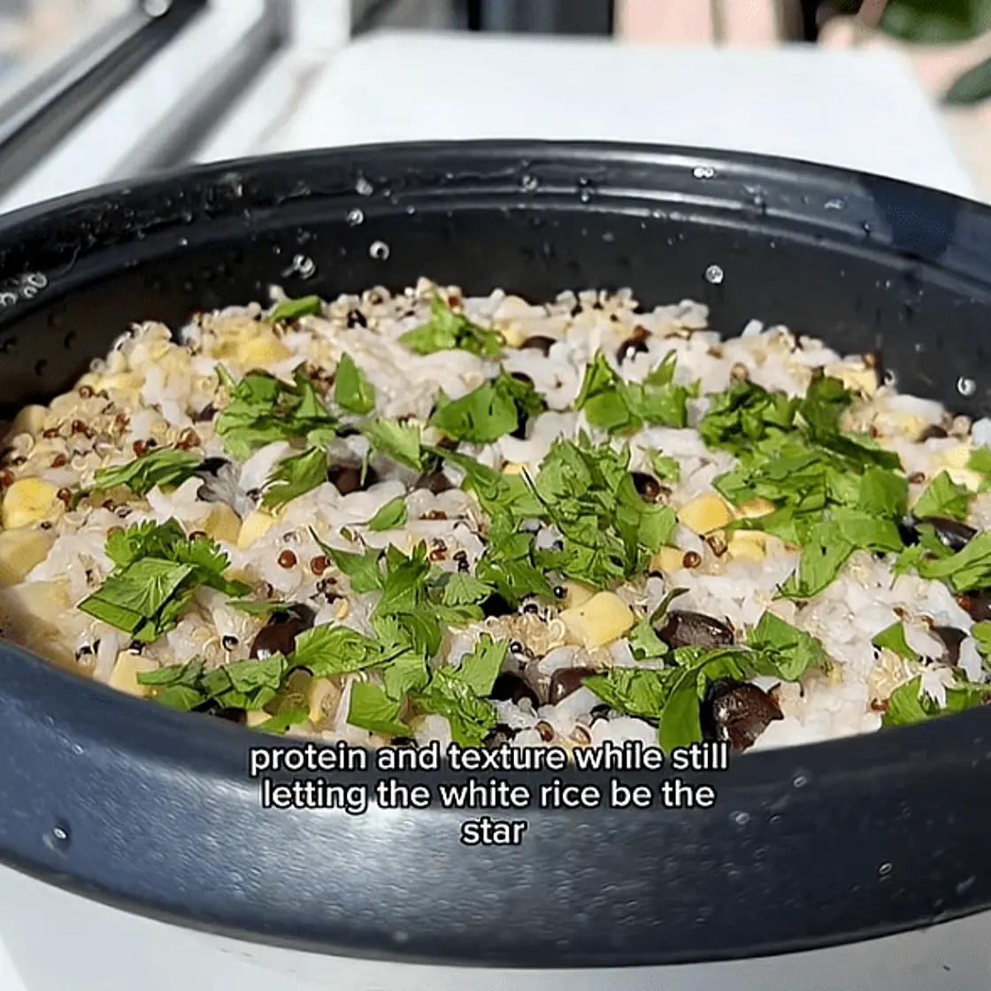 fiber rice