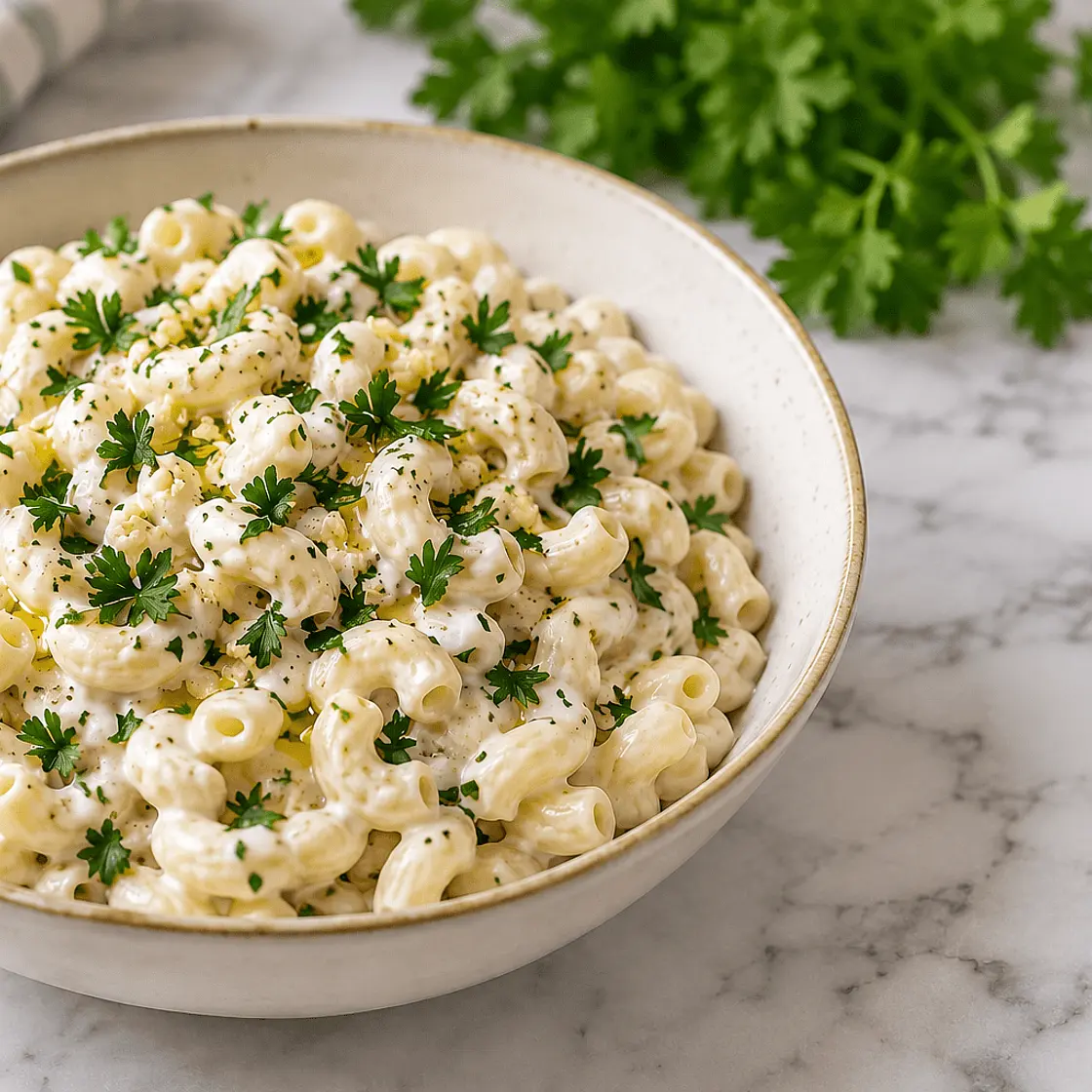 Yogurt Macaroni