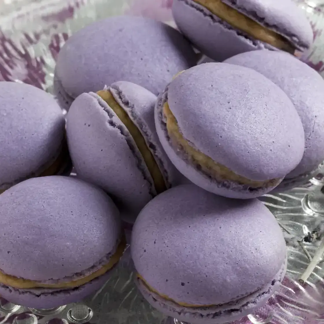 Macarons foie gras / figues
