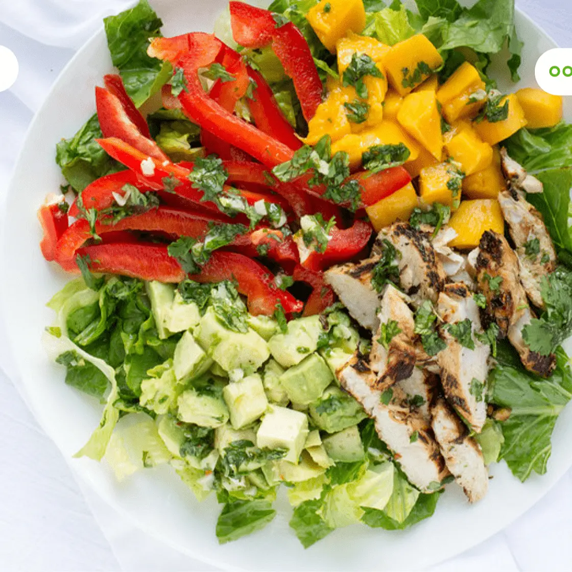 Cilantro Lime Chicken Salad with Mango, Avocado & Bell Pepper