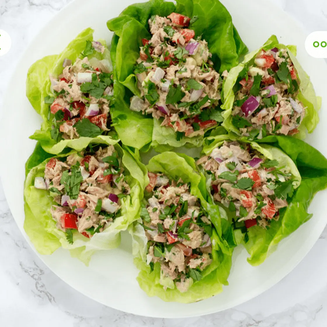 Tuna Salad Lettuce Wraps with Avocado & Bell Pepper