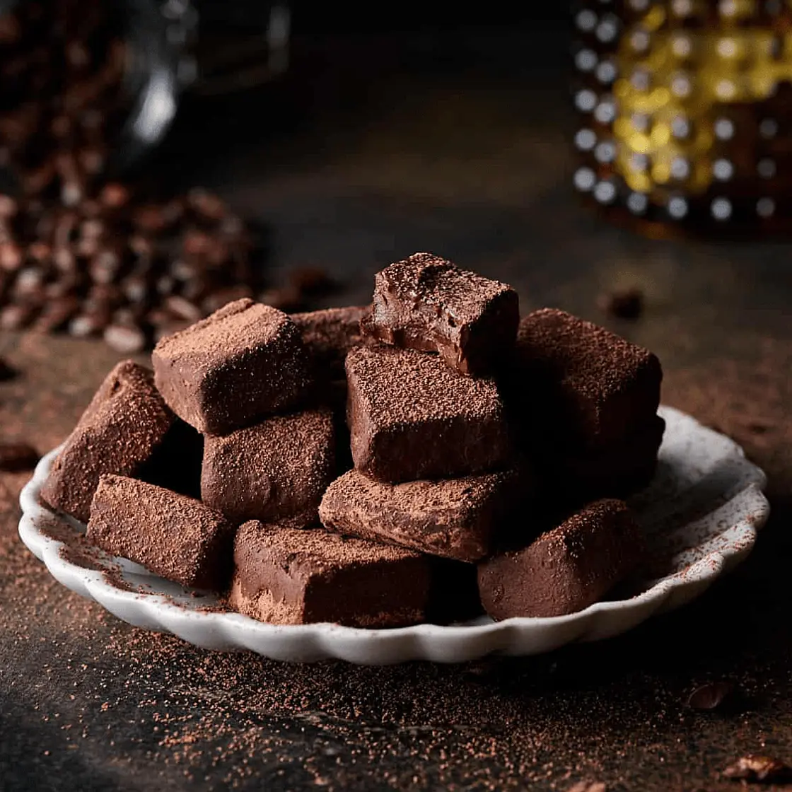 Chocolate fudge-style protein bites