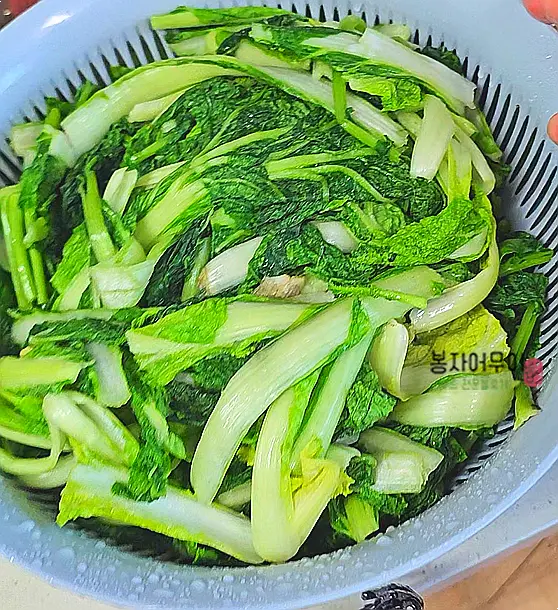 절임이 끝난 열무와 얼갈이를 찬물로 깨끗이 씻어 물기를 빼줍니다.