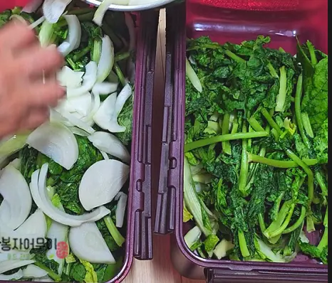 김치통에 열무, 얼갈이, 쪽파, 양파, 청양고추, 마늘 등 모든 재료를 차례로 넣어주세요.