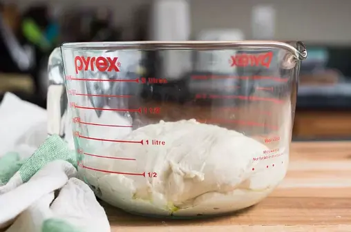 Drizzle a large, clean mixing bowl with oil. Flour your hands and form the dough into a rough ball. Transfer it to the oiled bowl and twirl it around a few times to coat it with oil.