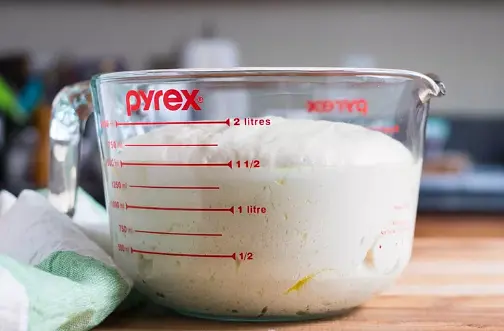 Cover the bowl with plastic wrap and leave to rise for 2 to 3 hours at room temperature, until doubled in bulk.