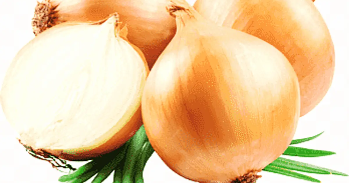 Vegan French Onion Soup Recipe | Samsung Food App