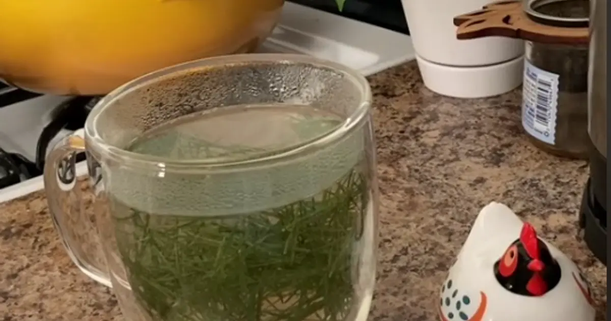 True Lemon Pine Needle Tea Recipe | Samsung Food App
