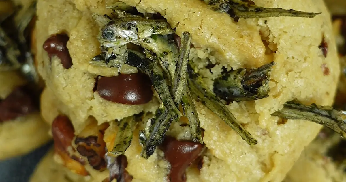 Chocolate Chip Walnut Cookies with a Secret Ingredient Recipe | Samsung Food App