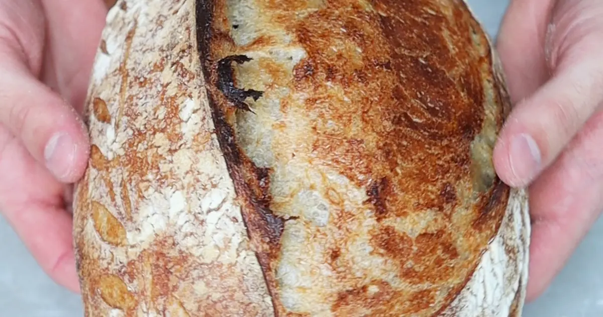 Homemade Sourdough Bread 👨🏼‍🍳 aka. the best bread in the world! Recipe | Samsung Food App