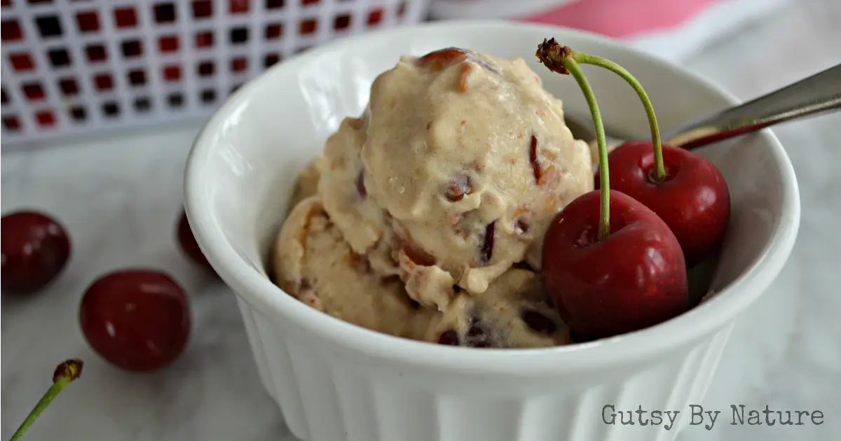 Cherry Ice Cream (Paleo, AIP, SCD, Vegan) Recipe | Samsung Food App