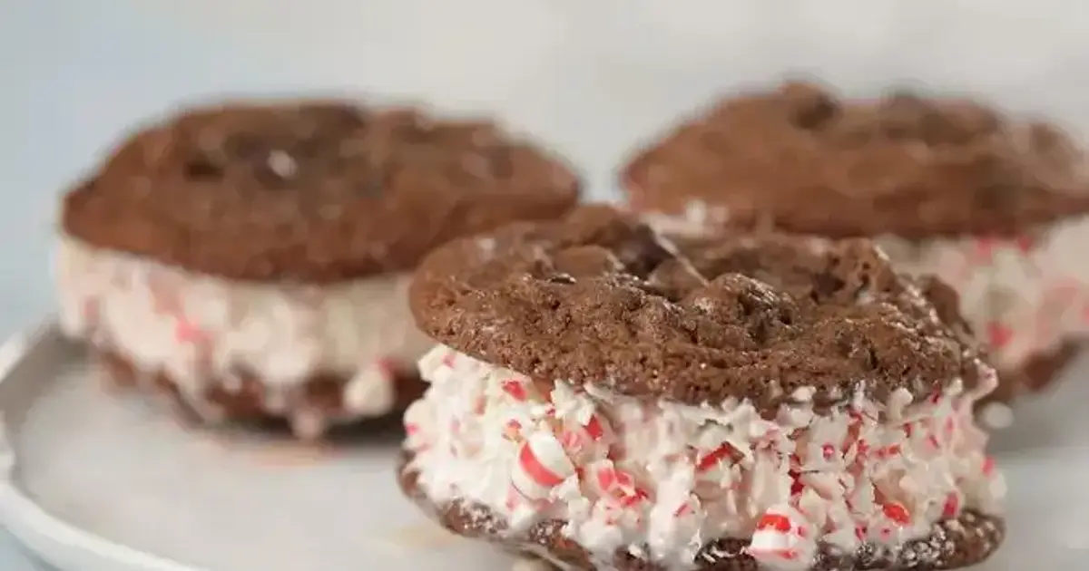 The Best Double Chocolate Peppermint Ice Cream Sandwich Cookies Recipe | Samsung Food App
