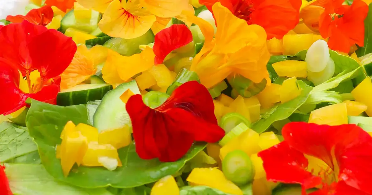 Nasturtium Salad Recipe | Samsung Food App