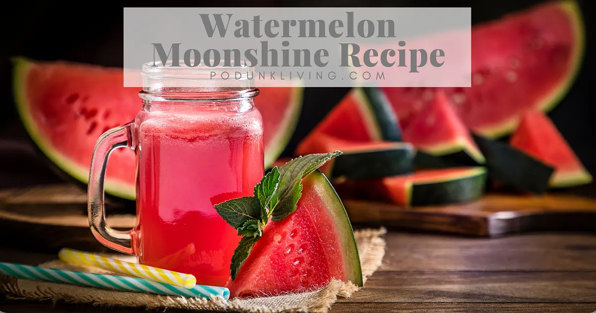 Best Watermelon Wine Recipe | Samsung Food App