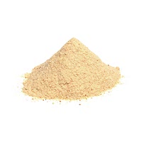 Garlic powder