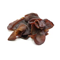 Wood ear mushrooms