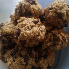 Absolutely love them, for a snack on the go. They are fab!