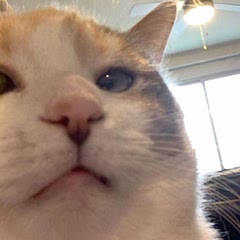 it was a lil fruity but overall would recommend!! #wap🙏🙏