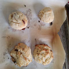 so good. I didn't use vanilla extract and substituted organic sugar with maple syrup. I just poured a bit more of my milk-alternative (any should do) to compensate for the dry:wet  ratio. I'm gonna try cranberry instead of chocolate chips next. 

(Edit: about 6 tbsp milk instead of 4)

when it comes to baking it, the instructions said 300f for 10 mins. it came out too soft for me.