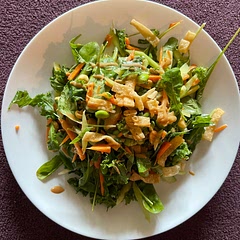 Was really delicious and fresh! I need to make a larger batch next time. Tossed some wonton strips on top but it would be just as yummy without.