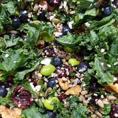 I like the ease of this recipe and how healthy it is. I felt comfortable substituting ingredients too. I couldn't find dried cherries so, I used dried cranberries instead. I had grapes but they weren't very good so I added pumpkin seed instead.