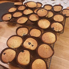 I made a double batch, and it made 29 average sized muffins. They didn't rise as much as I thought (given the amount of baking powder and bicarb that went in) but perhaps I over worked the batter.