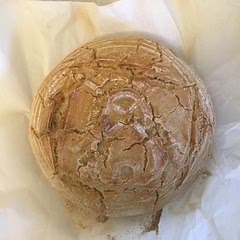 Turned out great! (=^-ω-^=)	My crust was a bit black on the bottom, so I may put a cookie sheet on the rack below my Dutch Oven next time.