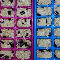 I think the coconut I used was much larger shred than the authors but they still tasted good. Put them in ice trays rather than rolling in balls. And used half maple syrup half honey.