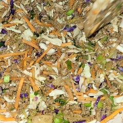 Added more meat, Mann's Power Blend Superfood, water chestnuts, black bean Garlic Sauce, and cooked meat in stir-fry oil. DID NOT ADD brown sugar and also didn’t make sauce separate. Turned out delicious.