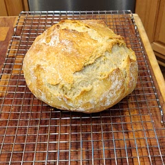 Great bread, awesome texture and really, really easy. I left it in the fridge overnight and baked it for breakfast. Chewy, fluffy, crunchy warm bread.