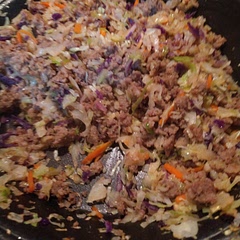 Taste exactly like a deconstructed egg roll! Very quick and easy. Sesame oil was a little pricy.